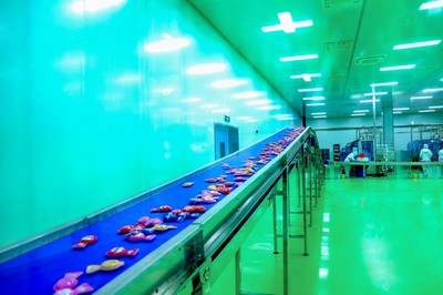 走進(jìn)妙飛透明工廠,讓品質(zhì)看得見